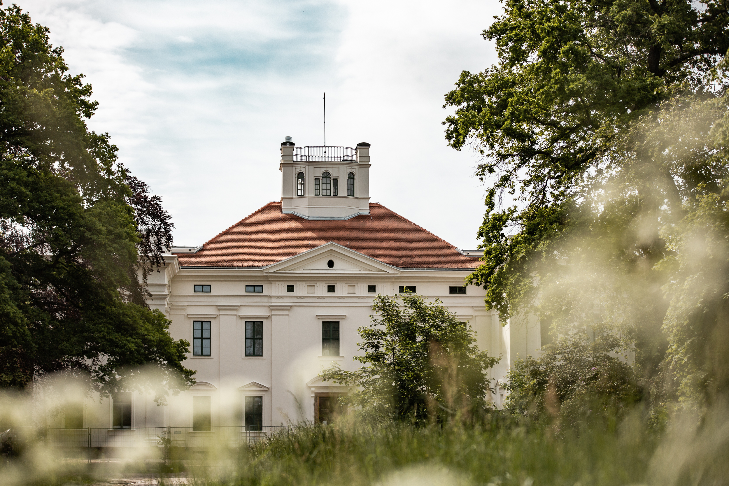 Die Anhaltische Gemaeldegalerie befindet sich mitten im Georgengarten, einem Teil des Gartenreichs